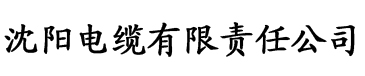 亚洲小妇人电缆厂logo